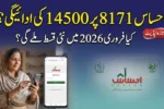 Ehsaas 8171 Web Portal – Check ₨14,500 Feb 2026 Payment Status