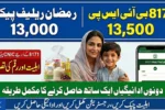 How to Get PM 13000 Relief Package with 8171 BISP 13500 - Check CNIC Status